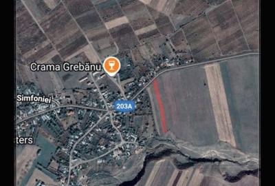 Teren de 5000 mp, în Râmnicu Sărat - 2