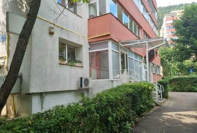 Inchiriere Spatiu Comercial - 6