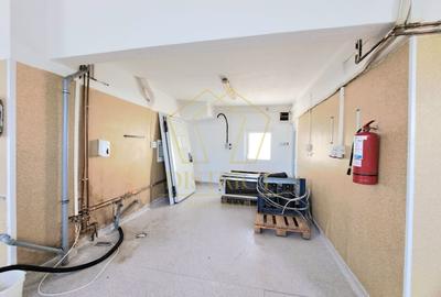 Hala de depozitare sau productie cu birouri 502mp | Mehala - 8