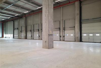 Spatiu Industrial - 5000 mp - Logistica - Productie - Depozitare - Distributie - 4