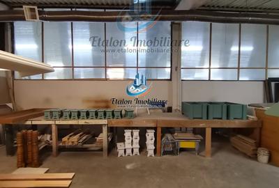 Hala 755 mp, teren 2000 mp, Girov, Judet Neamt - 3