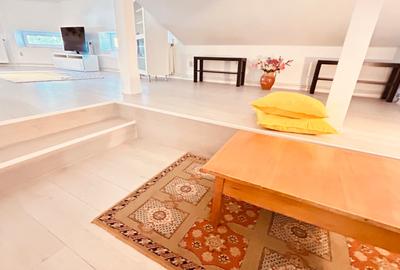 La cativa pasi de Piata Victoriei Metrou -  MANSARDA open space - 2