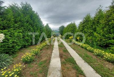 Casă cu 4 camere cu Piscina în Cașolț - 7