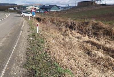 Teren de 5800 mp, în Crișeni - 4