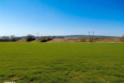 Spațiu comercial, în Pătrăuți - 5