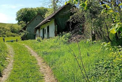 Casă cu 3 camere cu Teren 5400 Mp în Daia (Bahnea) - 7