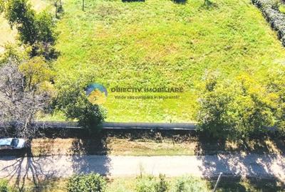 Teren agricol intravilan de 3260 mp, în Chintinici - 10