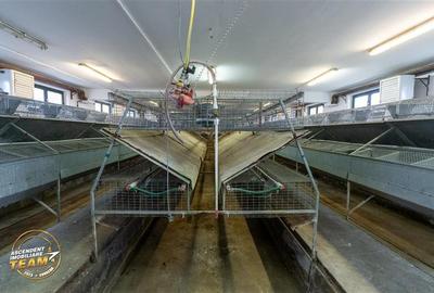 Spațiu comercial, de 794 mp, în Malnaș - 5