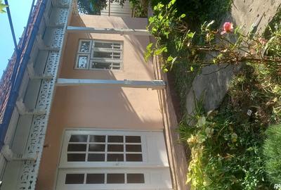 Casa batraneasca de vanzare locuiibila ,teren cu vie ?i livada in suprafa?a de 29000m.p. - 2