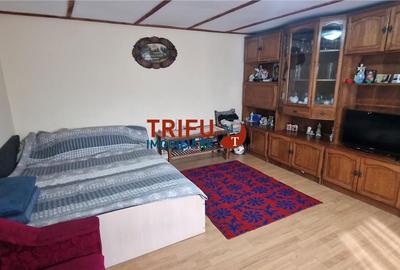 Casă cu 2 camere cu Teren 437 Mp în Ighiu - 11