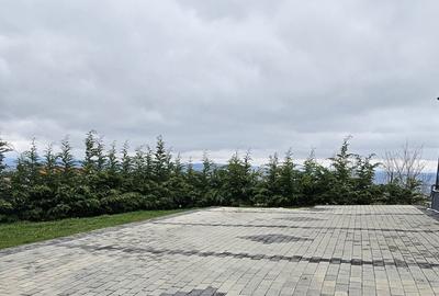 Casă cu 3 camere cu Teren 500 Mp în Făget - 3