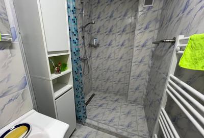 Apartament mobilat, 2 camere, Marasti /Fabricii - 11