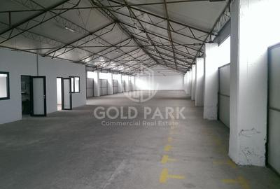 Depozit/Hala-In Park  Industrial- Zona Someseni-641 mp+43 mp Birouri - 2