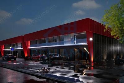 Hale industriale-Spatii depozitare-Suprafete 12mp-590mp-Aeroport - 2