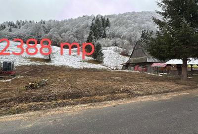 Spațiu comercial, în Scrind-Frăsinet - 2