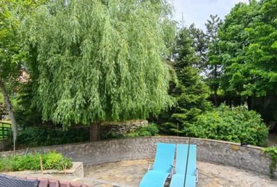 Casă cu 7 camere cu Piscina în Săftica - 14