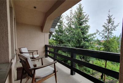 Casa individuala - 250 mp anexa - 10 ari teren - Scheia - 1