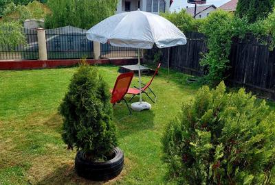 Casa Valea Calugareasca,Darvari, super pre? ! - 7