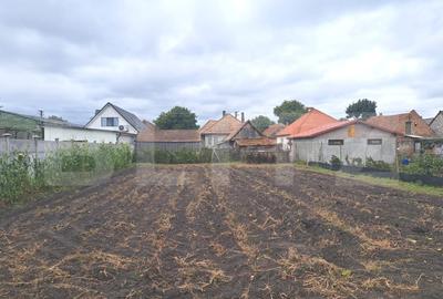 Vand casa cu teren generos - Halchiu, aproape de Brasov - 2