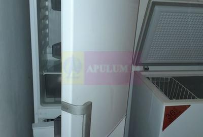 Movilita - vanzare casa 5 cam plus livada pe rod si teren 1800 mp - 24