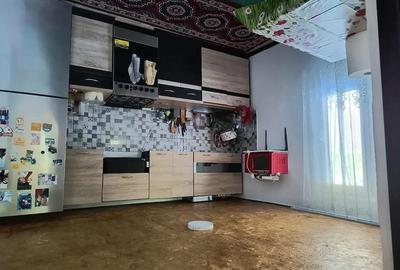 Casă cu 3 camere cu Teren 2700 Mp în Ciurari - 8