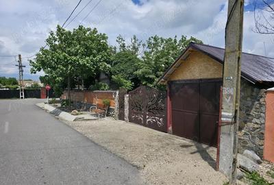 Casa Smardioasa cu Garaj si Curte - Centrul comunei (in Teleorman) - 6