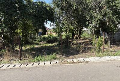 Spațiu comercial, în Nanov - 1