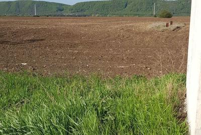 Teren de 2500 mp, în Bănești - 3