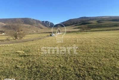 Spațiu comercial, în Petrești - 10