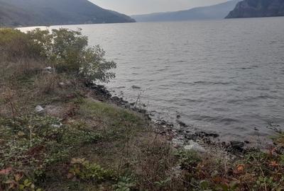 Vând teren pe clisura Dunării - 6