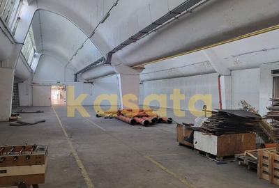 Spatiu de depozitare/productie de inchiriat-Pantelimon - 2