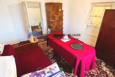 CASĂ + teren 3000 mp de vanzare - COSTIȘA - 10