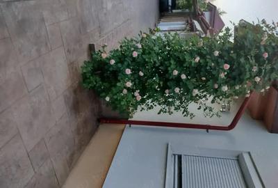 Casă cu Teren 1172 Mp în Corbeanca - 1