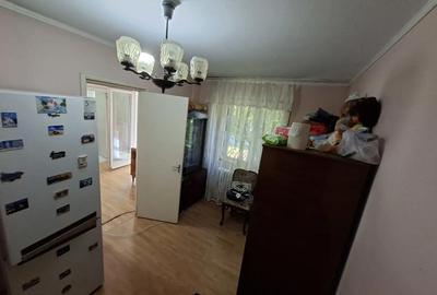 Apartament cu 2 camere semidecomandat în Tineretului - 2