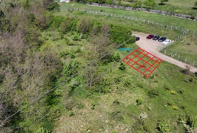 Teren de Vanzare â&#128;&#147; 850 mp | Petrarie â&#128;&#147; Burnova | Zona Verde, Investitie - 2