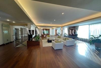 Duplex-Penthouse Spectaculos cu 5 camere, Vedere PARC, Mobilat LUX, 2 parcari - 23