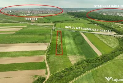 Teren de 5700 mp, în Cordău - 4