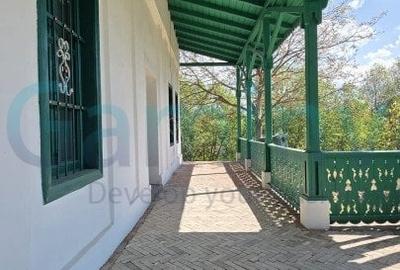 Gaminvest Conac istoric de poveste, restaurat recent – Poiana, Bihor,V4105 - 17