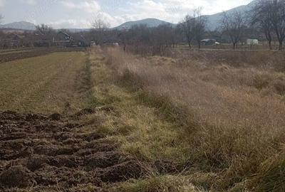 Teren de 2000 mp, în Brănișca - 8