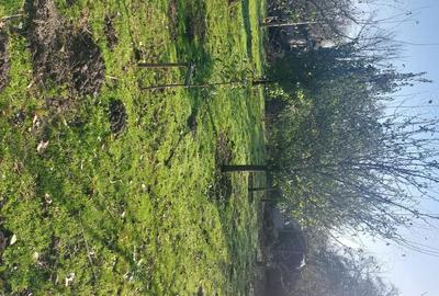 Casă cu 3 camere cu Teren 2000 Mp în Platonești - 10