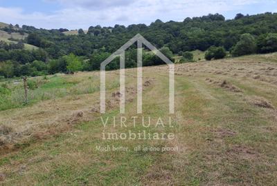 Teren agricol extravilan de 15600 mp, în Hamba - 3