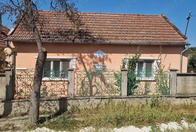 Casa la tara 40 km de Oradea - 4