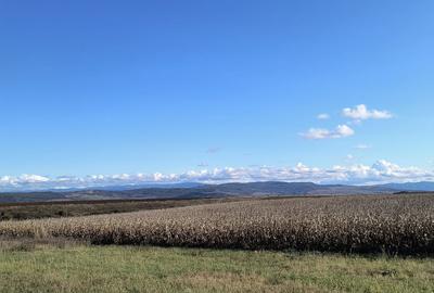 Spațiu comercial, în Simeria - 1