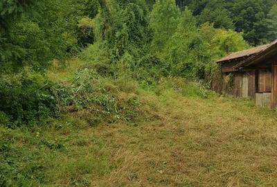 Poiana Sarata, Bacau - 1