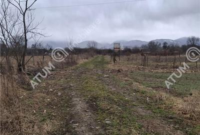 Spațiu comercial, în Porumbacu de Sus - 5
