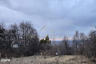 Teren de 1000 mp, în Făget - 2