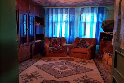 Casă cu 2 camere în Fârliug - 4