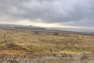 Teren agricol extravilan de 800 mp, în Moara - 10