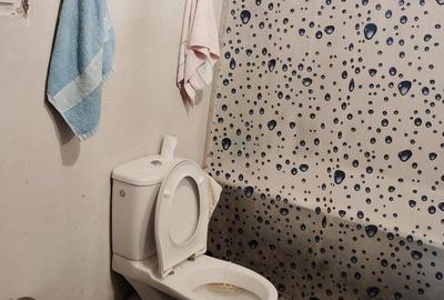 Casă cu 2 camere cu Teren 2110 Mp în Chilioara - 10
