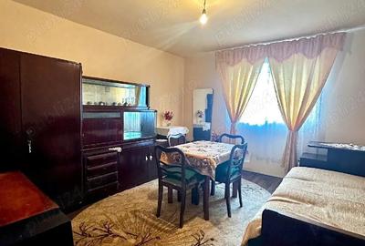 Casă cu Teren 2100 Mp în Lalașinț - 2